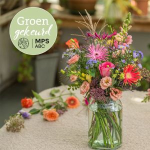 groen gekleurd. 100% MPS+ ( duurzaam geteeld)